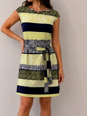 Banana Republic Lime & Navy Striped Belted Midi Dress